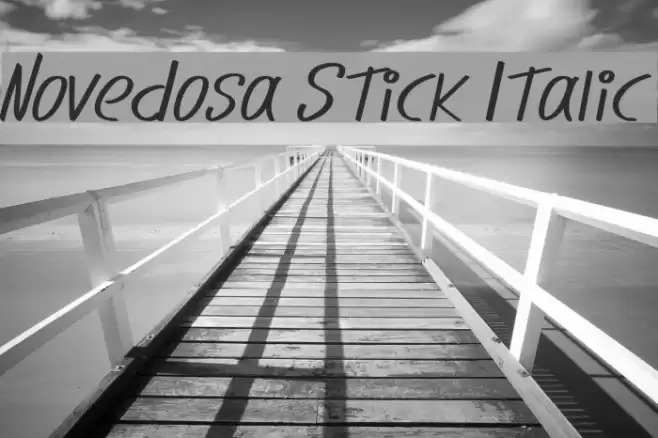 Novedosa Stick Italic Font examples