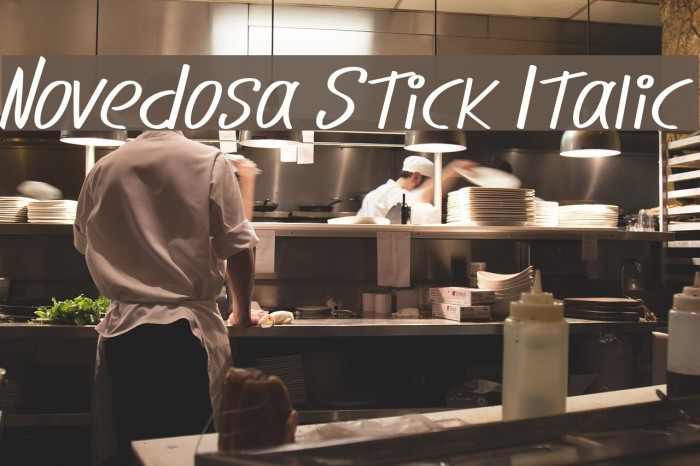 Novedosa Stick Italic Example 2