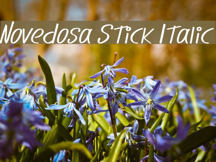 Novedosa Stick Italic Example 3