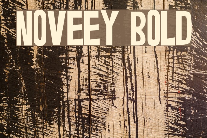 Noveey Bold Font examples
