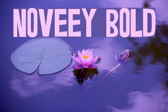 Noveey Bold Font examples