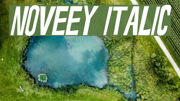 Noveey Italic Example 1