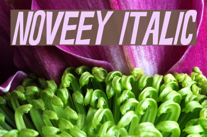 Noveey Italic Example 2
