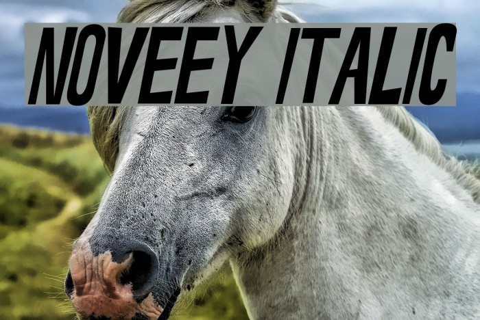 Noveey Italic Example 3