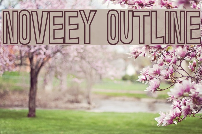 Noveey Outline Font examples
