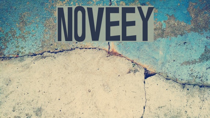 Noveey Fuentes examples