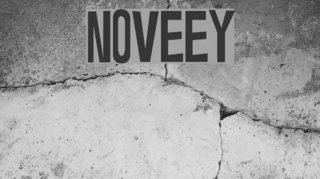 Noveey Fuentes examples