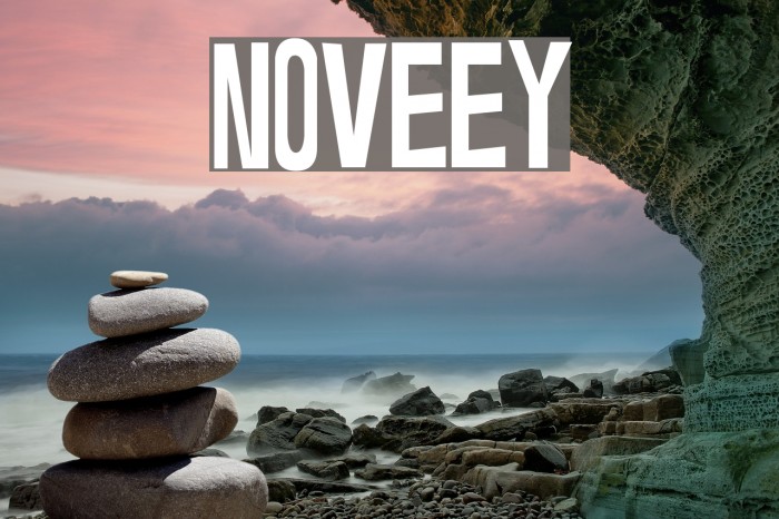 Noveey Fuentes examples