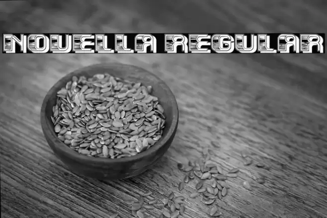 Novella Regular Font examples