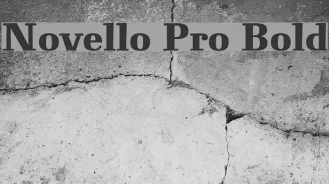 Novello Pro Bold Font examples