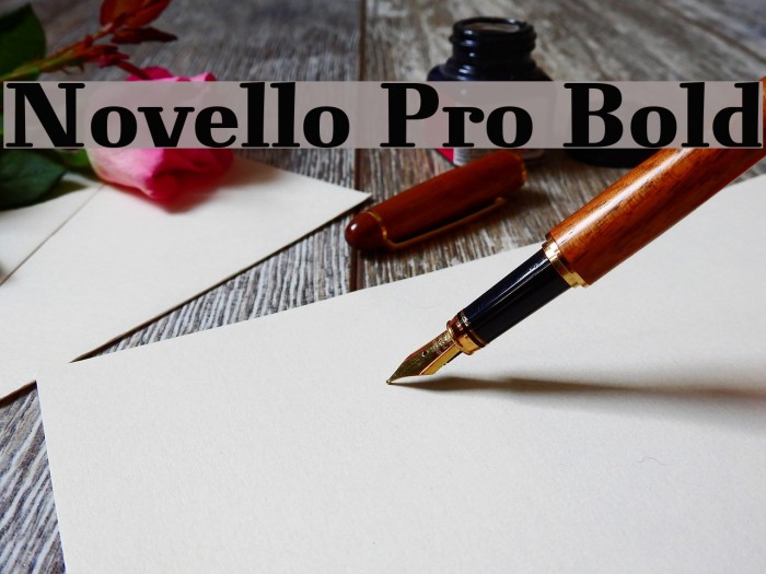 Novello Pro Bold Font examples