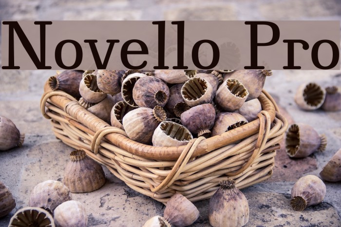 Novello Pro Font examples
