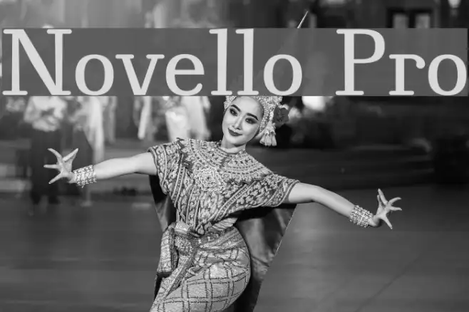 Novello Pro Example 3