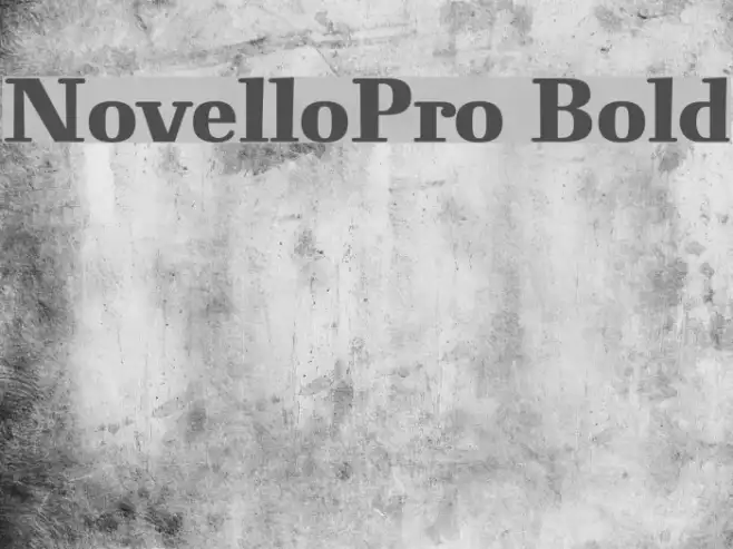 NovelloPro-Bold Example 3