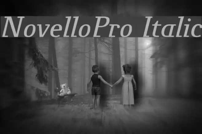 NovelloPro-Italic Font examples