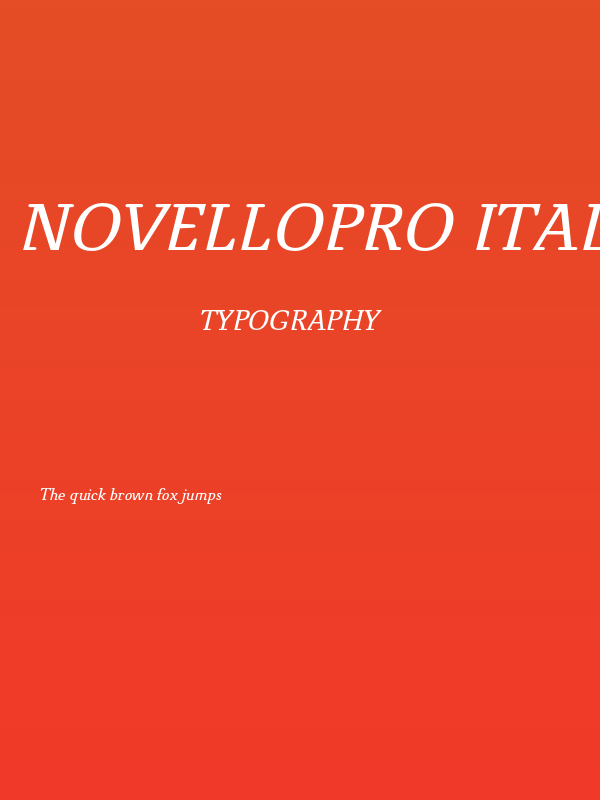 NovelloPro-Italic Poster