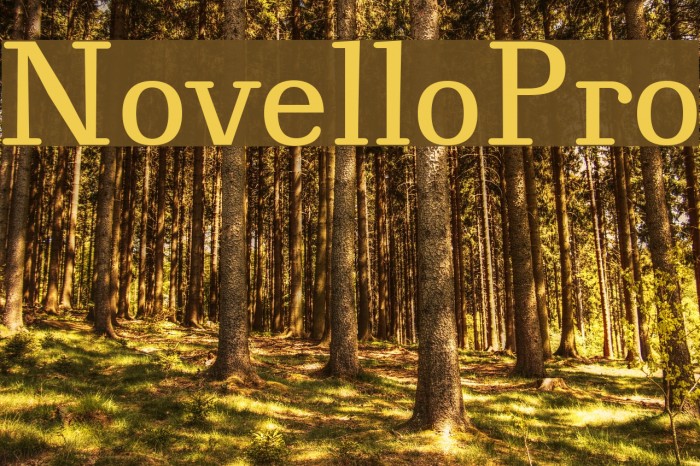 NovelloPro Font examples