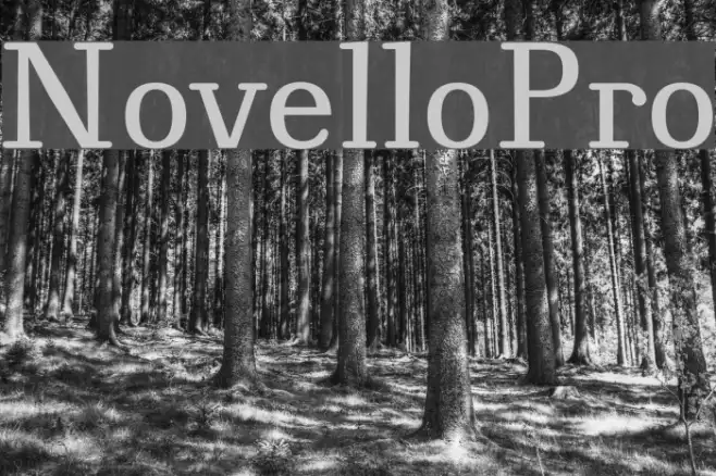 NovelloPro Example 1