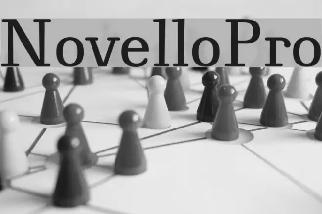 NovelloPro Example 2