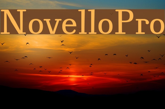NovelloPro Font examples