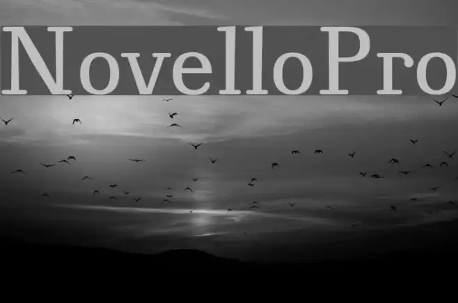 NovelloPro Example 3