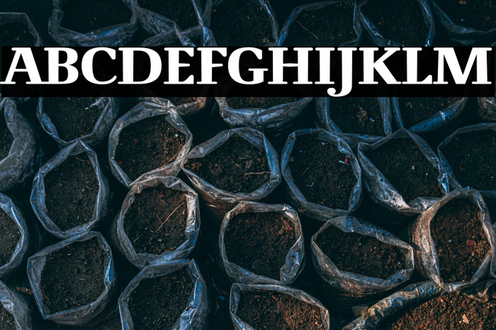 NovelloReduced-Bold Example 2