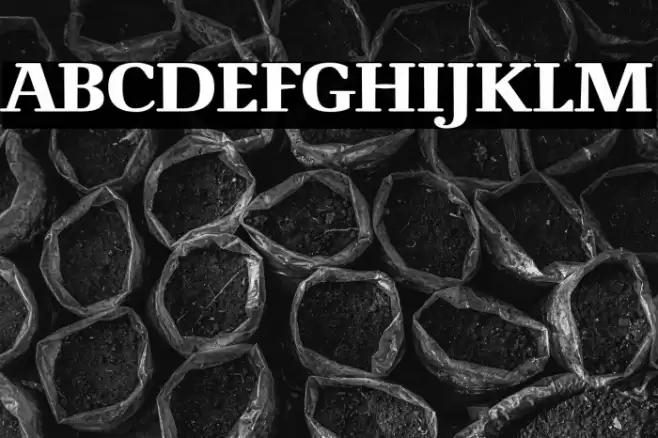 NovelloReduced-Bold Font examples