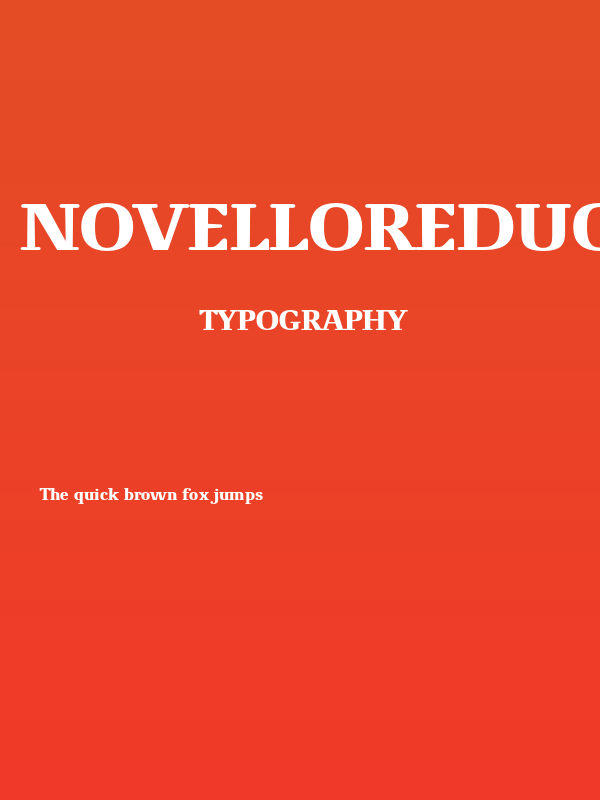 NovelloReduced-Bold Poster