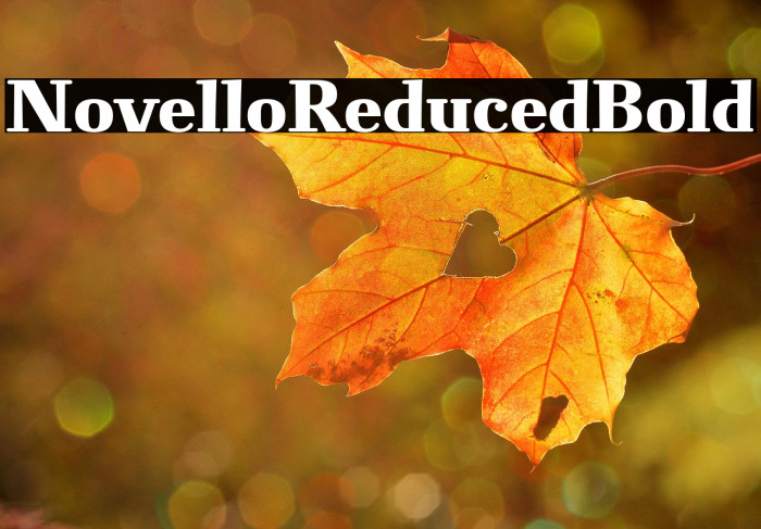 NovelloReduced-Bold Example 1