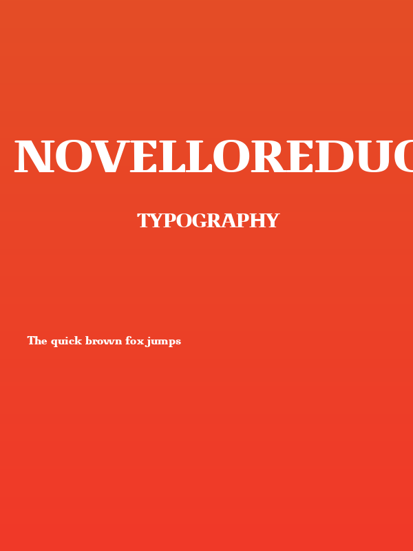 NovelloReduced-Bold Poster
