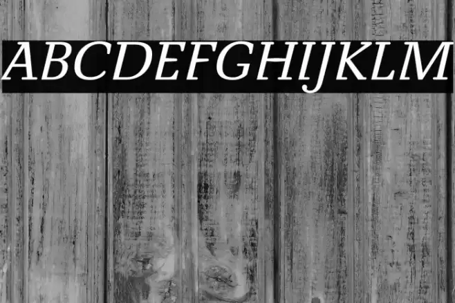 NovelloReduced-Italic Font examples