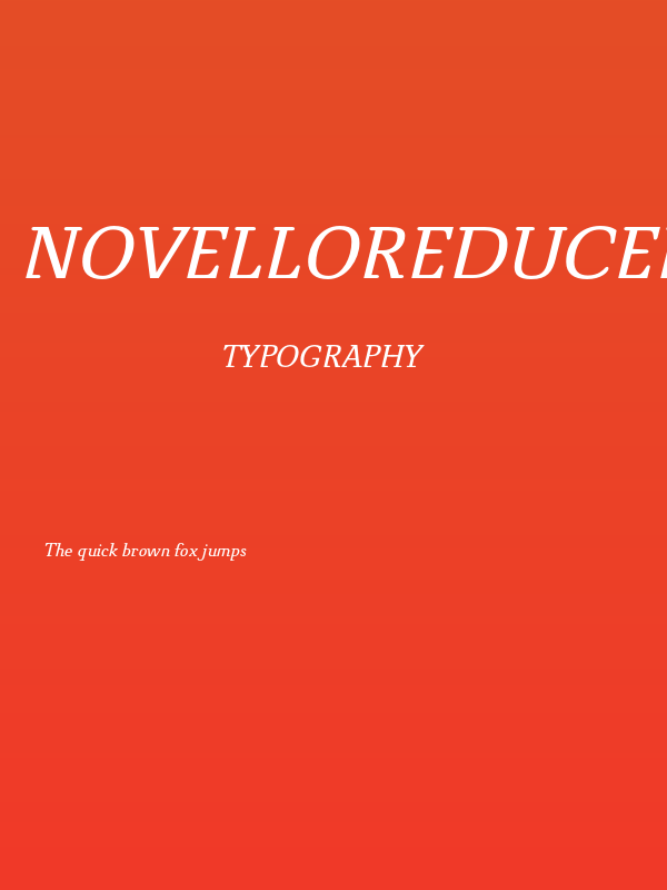 NovelloReduced-Italic Poster