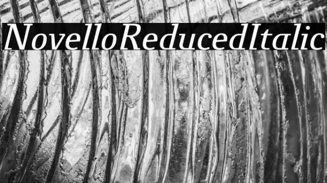 NovelloReduced-Italic Font examples