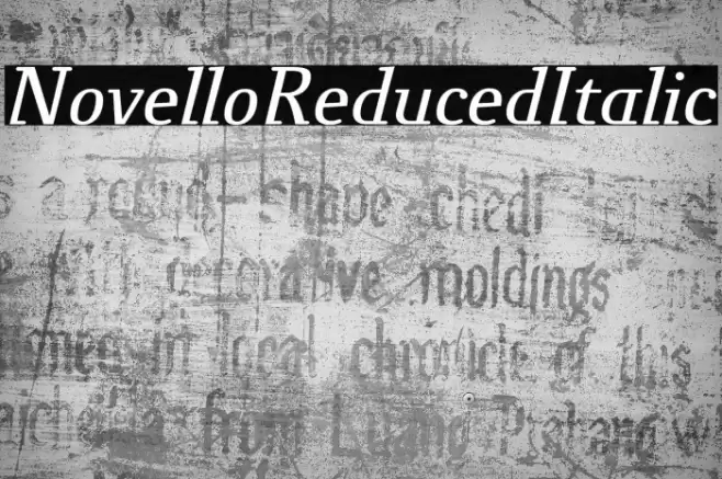 NovelloReduced-Italic Font examples