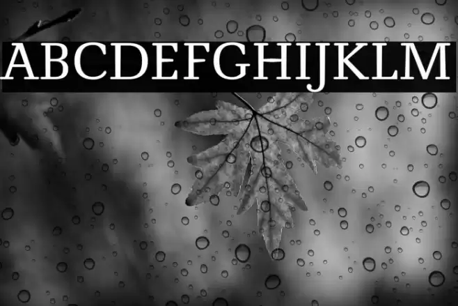 NovelloReduced Font examples