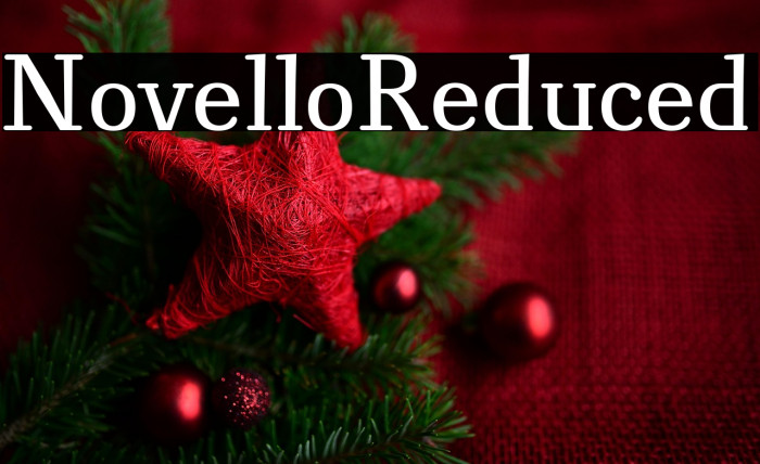 NovelloReduced Example 2