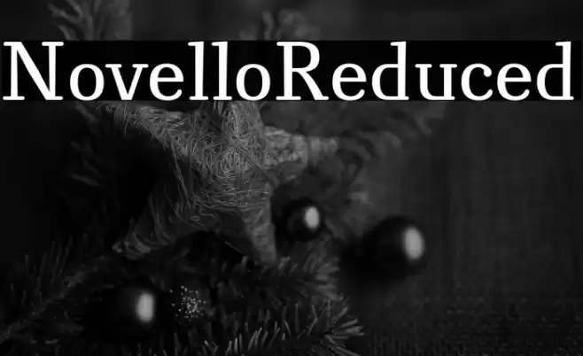 NovelloReduced Font examples