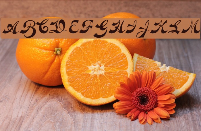 Novelty Script plain Font examples