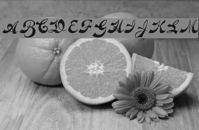 Novelty Script plain Font examples