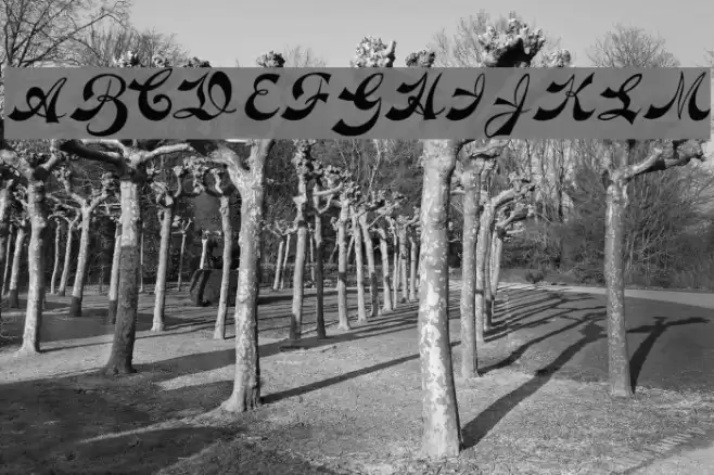 Novelty Script plain Font examples