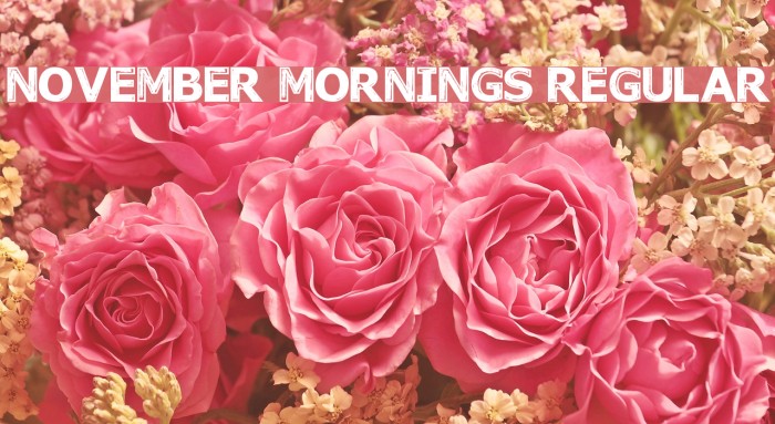 November Mornings Regular Шрифта examples