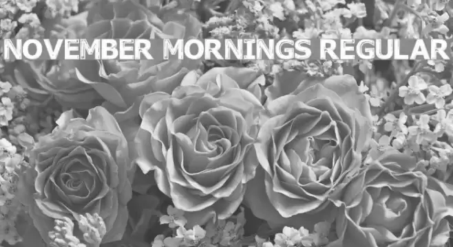 November Mornings Regular フォント examples
