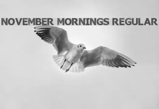 November Mornings Regular フォント examples