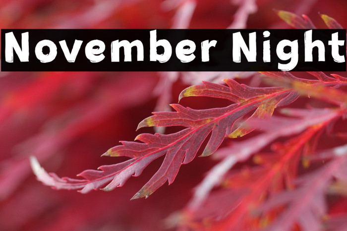 November Night Example 1