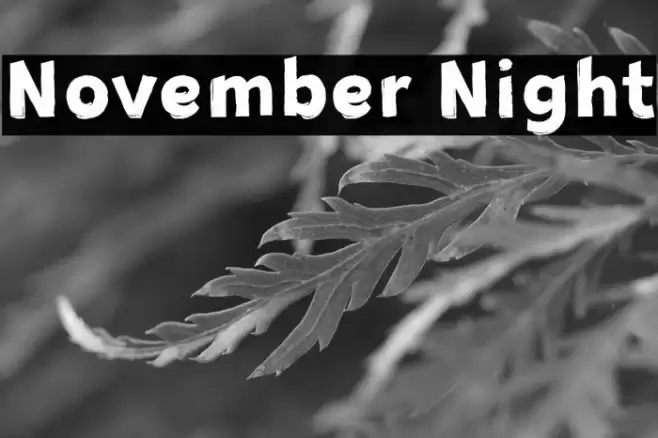 November Night Font examples