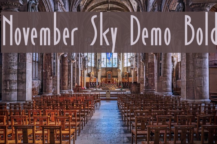 November Sky Demo Bold Font examples