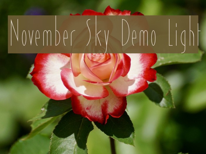 November Sky Demo Light Fuentes examples