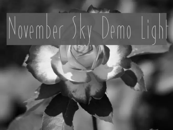 November Sky Demo Light Font examples