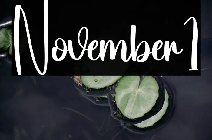 November1 Example 2