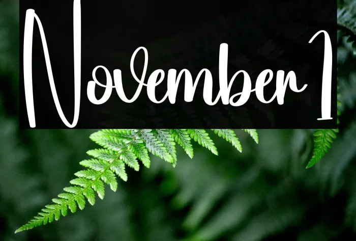 November1 Example 3